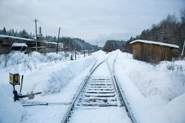 Размещенное изображение