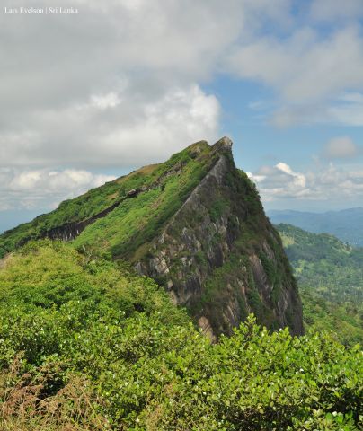 med_gallery_39844_380_4585894.jpg