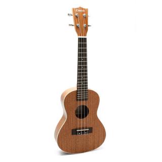 dan-ukulele-chateau-c08-u2300.jpg
